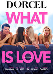 Marc Dorcel - What Is Love - DVD - Porna